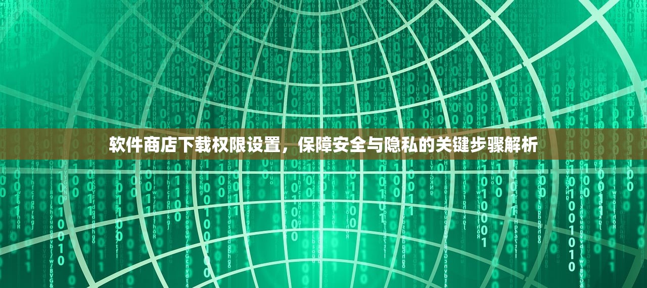 软件商店下载权限设置，保障安全与隐私的关键步骤解析