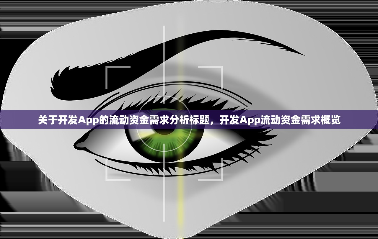 关于开发App的流动资金需求分析标题，开发App流动资金需求概览