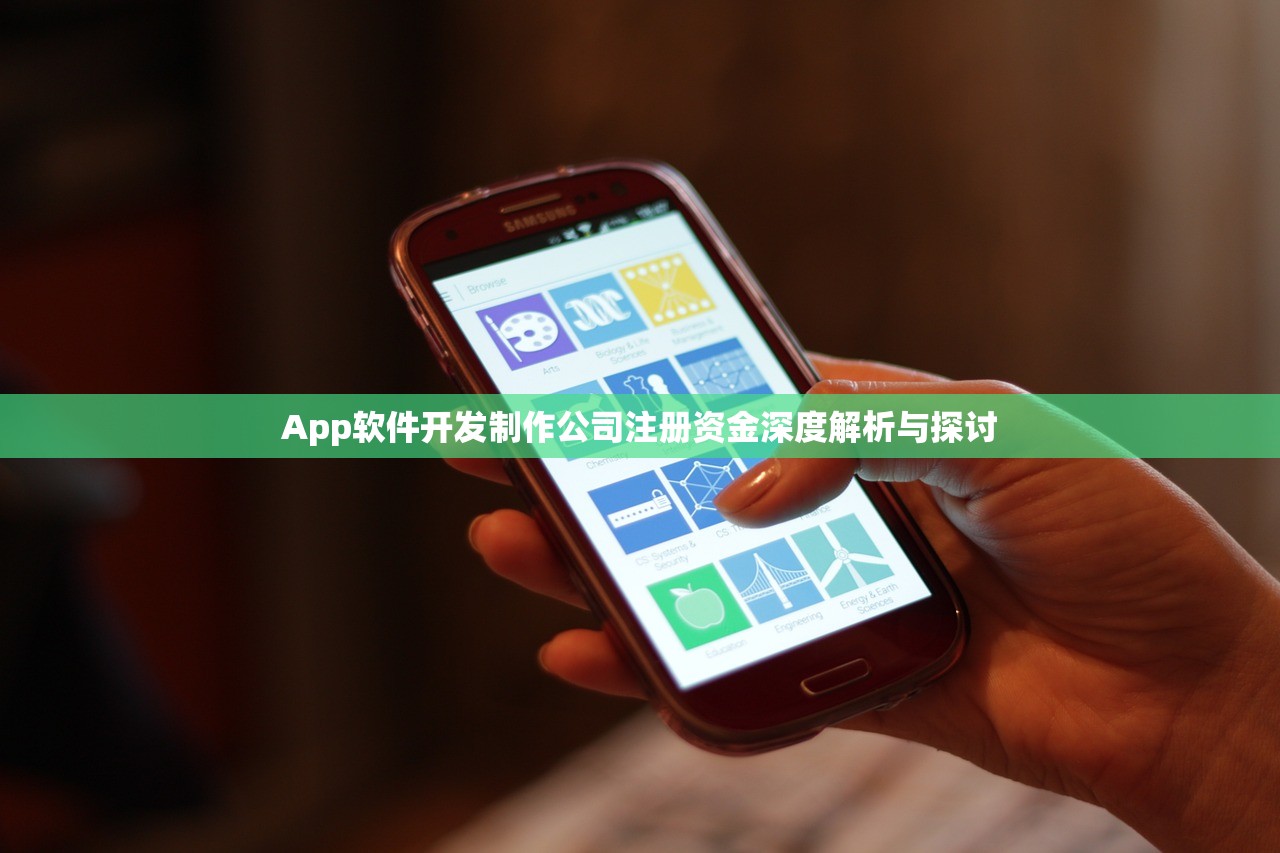 app软件开发制作公司注册资金