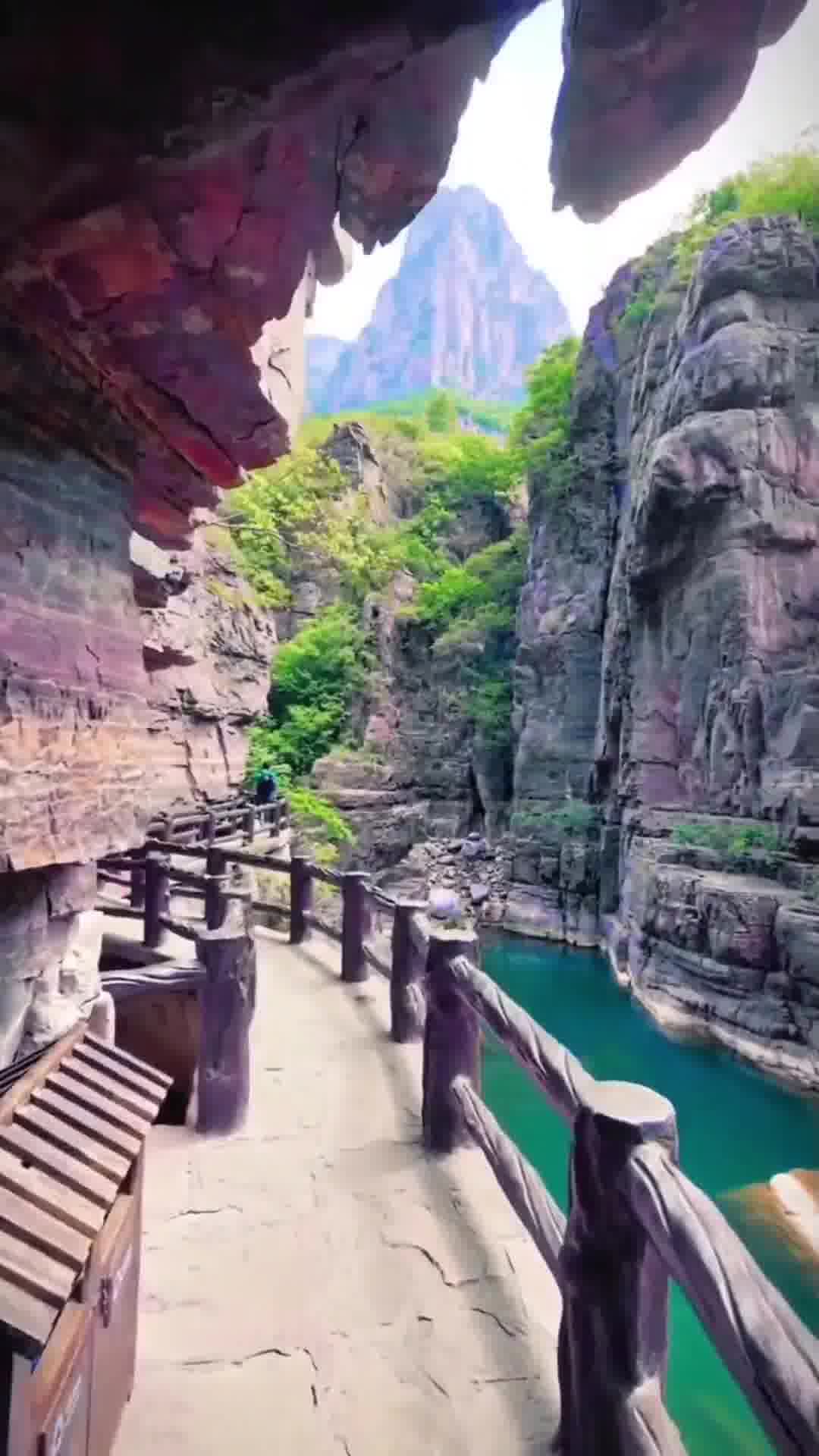 河南自然之旅,说走就走的生态盛宴