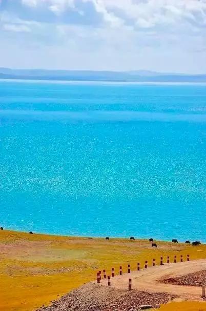 探寻青海自然奇观，邂逅无与伦比的美景🌿🏔️