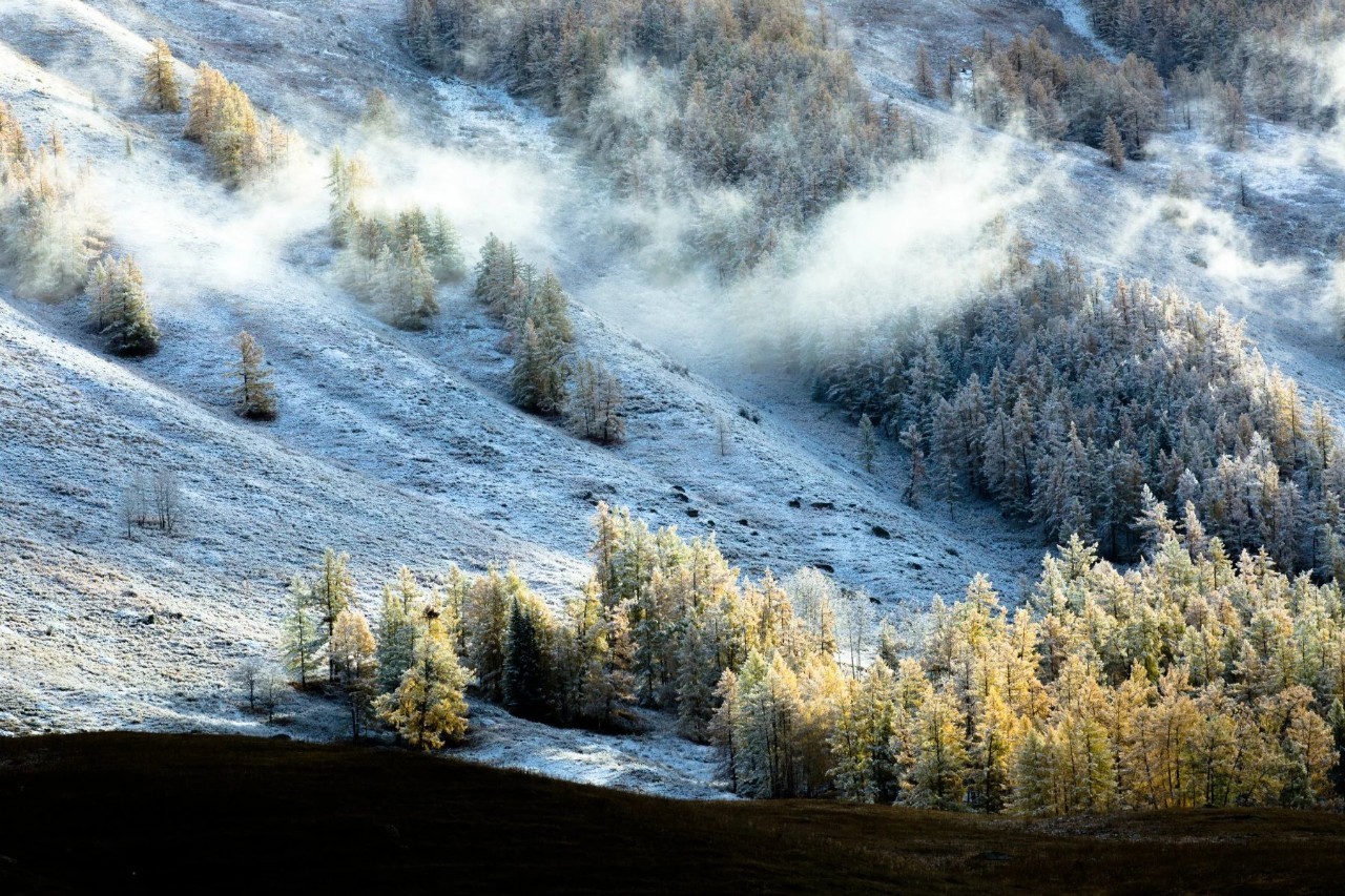 新疆,丝绸之路上的多元文化瑰宝