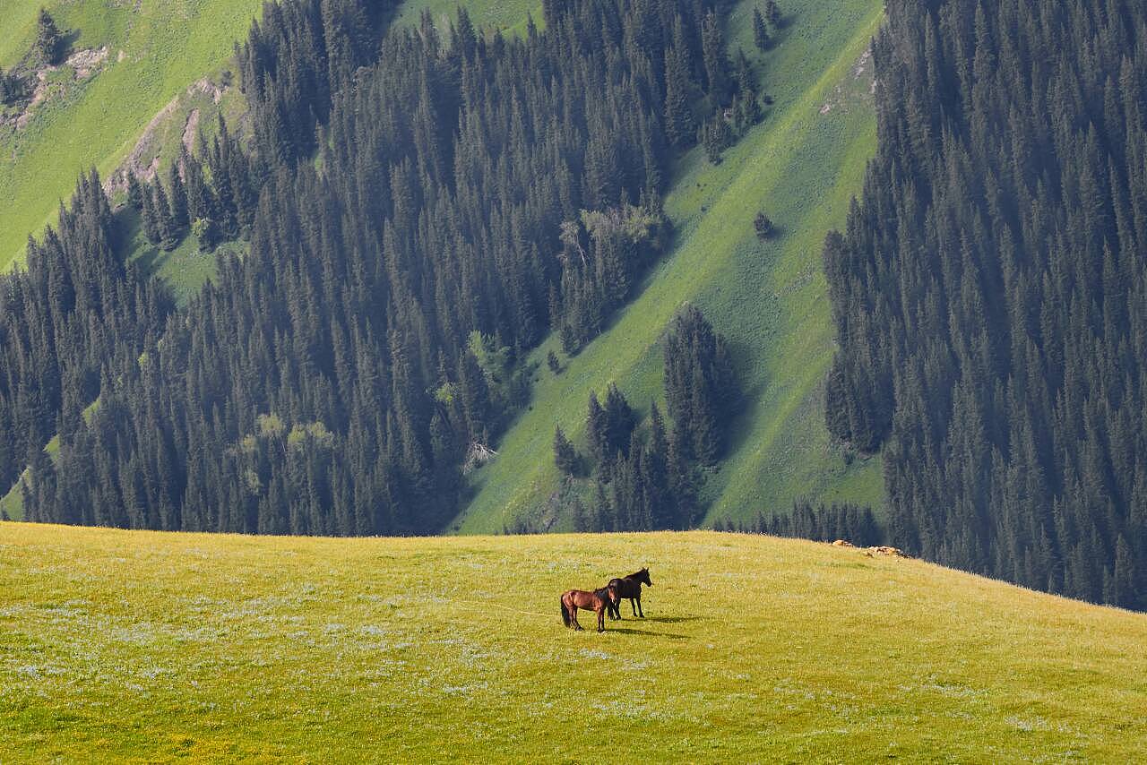新疆,丝绸之路上的多元文化瑰宝