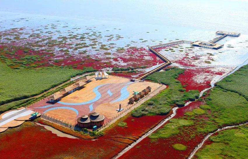 盘锦，美丽土地的独特魅力🌿